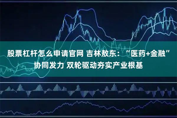 股票杠杆怎么申请官网 吉林敖东：“医药+金融”协同发力 双轮驱动夯实产业根基